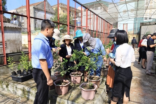 Training course enhances capacity of plant protection officers in central region