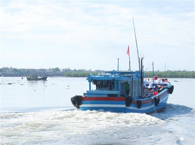 Quang Tri takes concerted measures to prevent IUU fishing