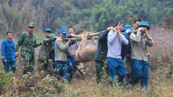 War-time bomb detected, destroyed in Son La