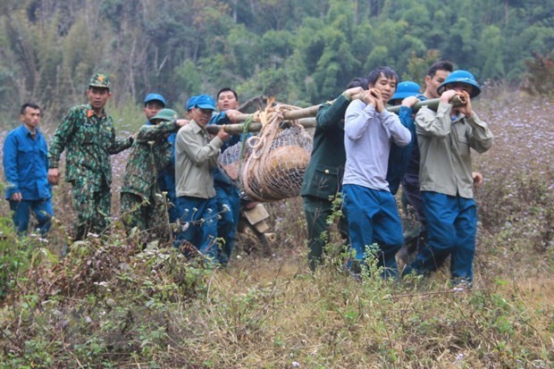 War-time bomb detected, destroyed in Son La