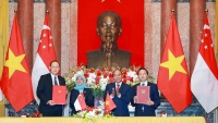 Việt Nam-Singapore: Triển khai hiệu quả 7 lĩnh vực của Hiệp định kết nối kinh tế