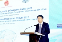 Diễn đàn cao cấp OECD - Đông Nam Á 2022 thành công tốt đẹp