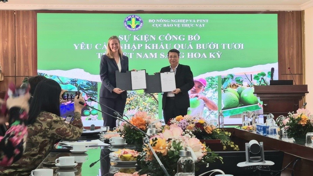 Xuất khẩu ngày 17-21/10: Bưởi Việt Nam chính thức được 'cấp visa' sang Hoa Kỳ; kết nối nông sản Bến Tre với thị trường Hồi giáo