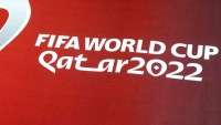 Cập nhật lịch thi đấu bảng E World Cup 2022 mới nhất - trực tiếp World Cup 2022