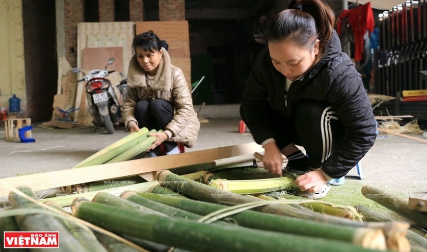 Trunks of Giang tree (a species of Bamboo) from Tuyen Quang, Yen Bai and Dien Bien provinces are the main material for making Bodhi-leave-shaped fans. (Photo: VNP/VNA)