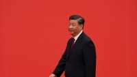 Tổng Bí thư, Chủ tịch Trung Quốc Tập Cận Bình gửi thông điệp về 'bảo vệ hòa bình thế giới'