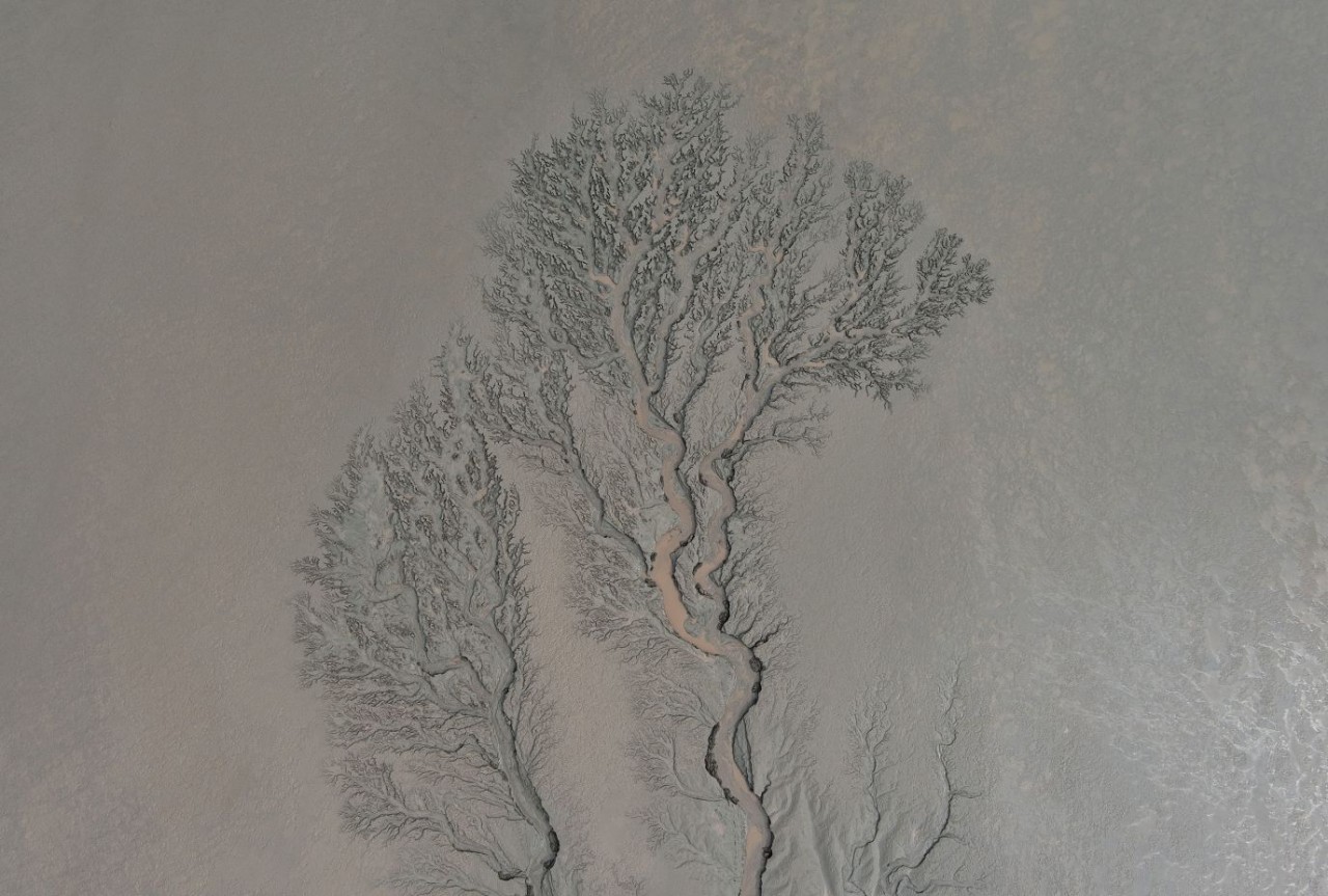 Ảnh chụp từ trên không cho thấy một bãi bồi có hình dạng giống một cái cây ở sông Tiền Đường, Chiết Giang, Trung Quốc, ngày 17/10. (Nguồn: Getty)