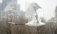 Trung Quốc: Ornithopter chạy pin lập kỷ lục Guinness về thời gian bay dài nhất