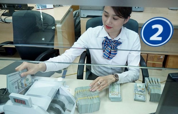 Central bank raises selling price of USD to 24,870 VND