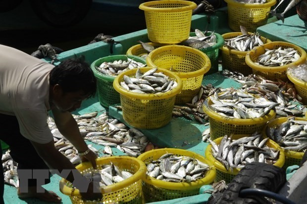 Kien Giang records 15% growth in 10-month export turnover