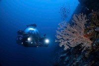 Thám hiểm Maldives, phát hiện ốc đảo sâu dưới lòng Ấn Độ Dương