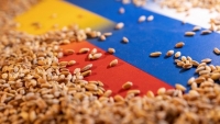 Nga nói chỉ 3% lương thực xuất khẩu của Ukraine đến các nước nghèo, số còn lại 'về tay' ai?