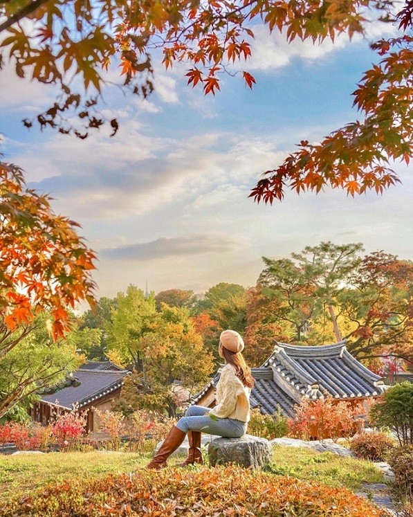 Hàn Quốc: Đôi cây ngân hạnh 600 năm tuổi