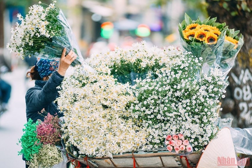 Daisies brighten up Hanoi’s streets