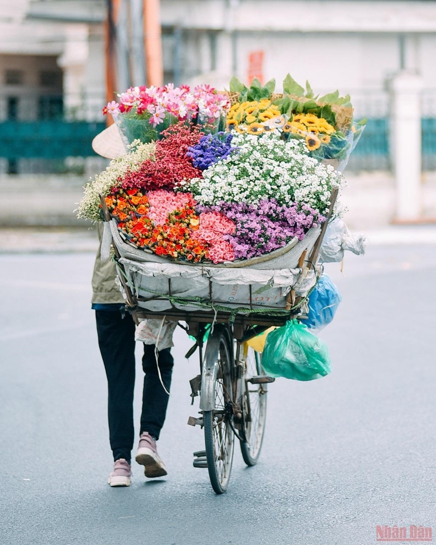 Daisies brighten up Hanoi’s streets