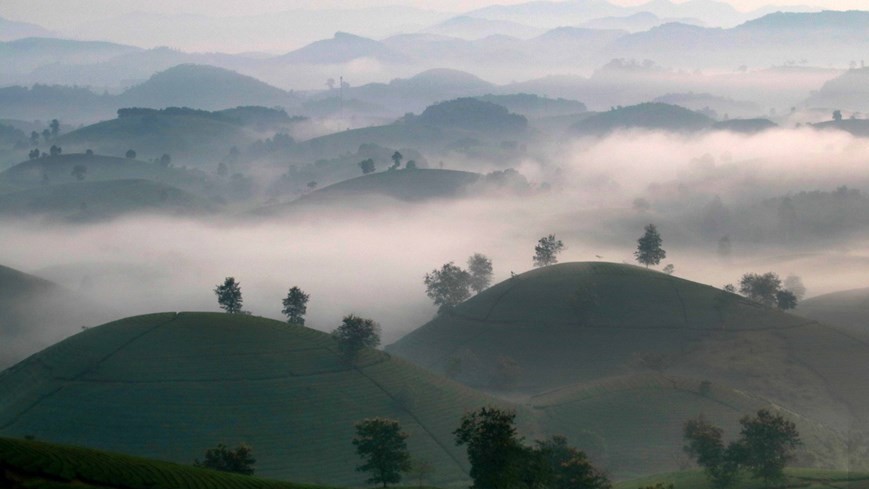 Stunning sunrise over Long Coc tea hill