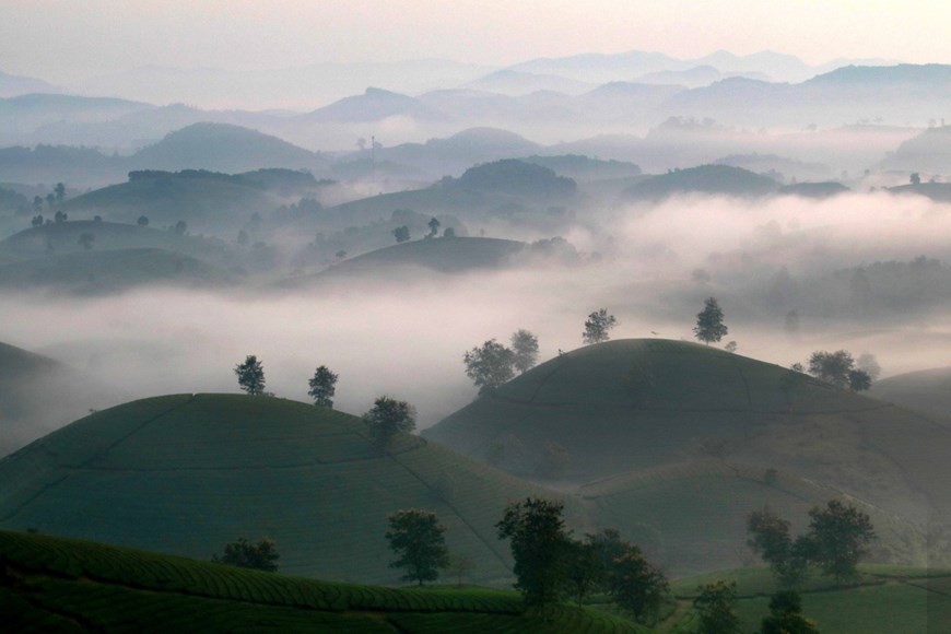 Stunning sunrise over Long Coc tea hill
