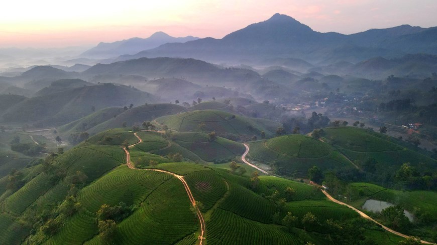 Stunning sunrise over Long Coc tea hill