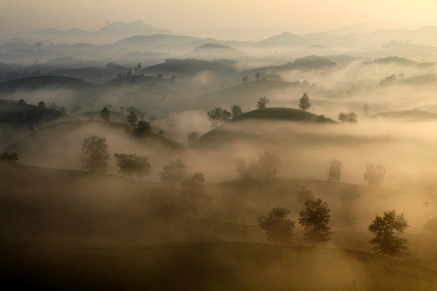 Stunning sunrise over Long Coc tea hill