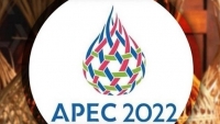 Học giả Thái Lan đề cao vai trò của hợp tác kinh tế nội khối APEC và ASEAN