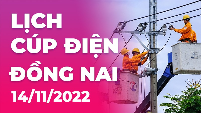 Lịch cúp điện hôm nay tại Đồng Nai ngày 14/11/2022