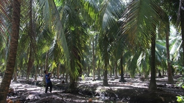To promote trade and investment between Ben Tre and Chines localities