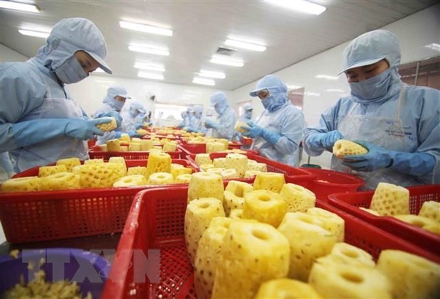 Vietnamese firms making relatively good use of EVFTA: survey