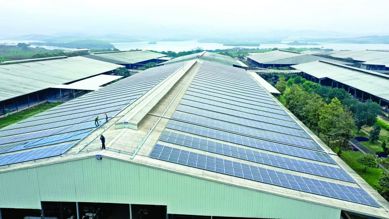  Pin năng lượng mặt trời trên các mái chuồng bò sữa tại Trang trại TH Nghệ An.
