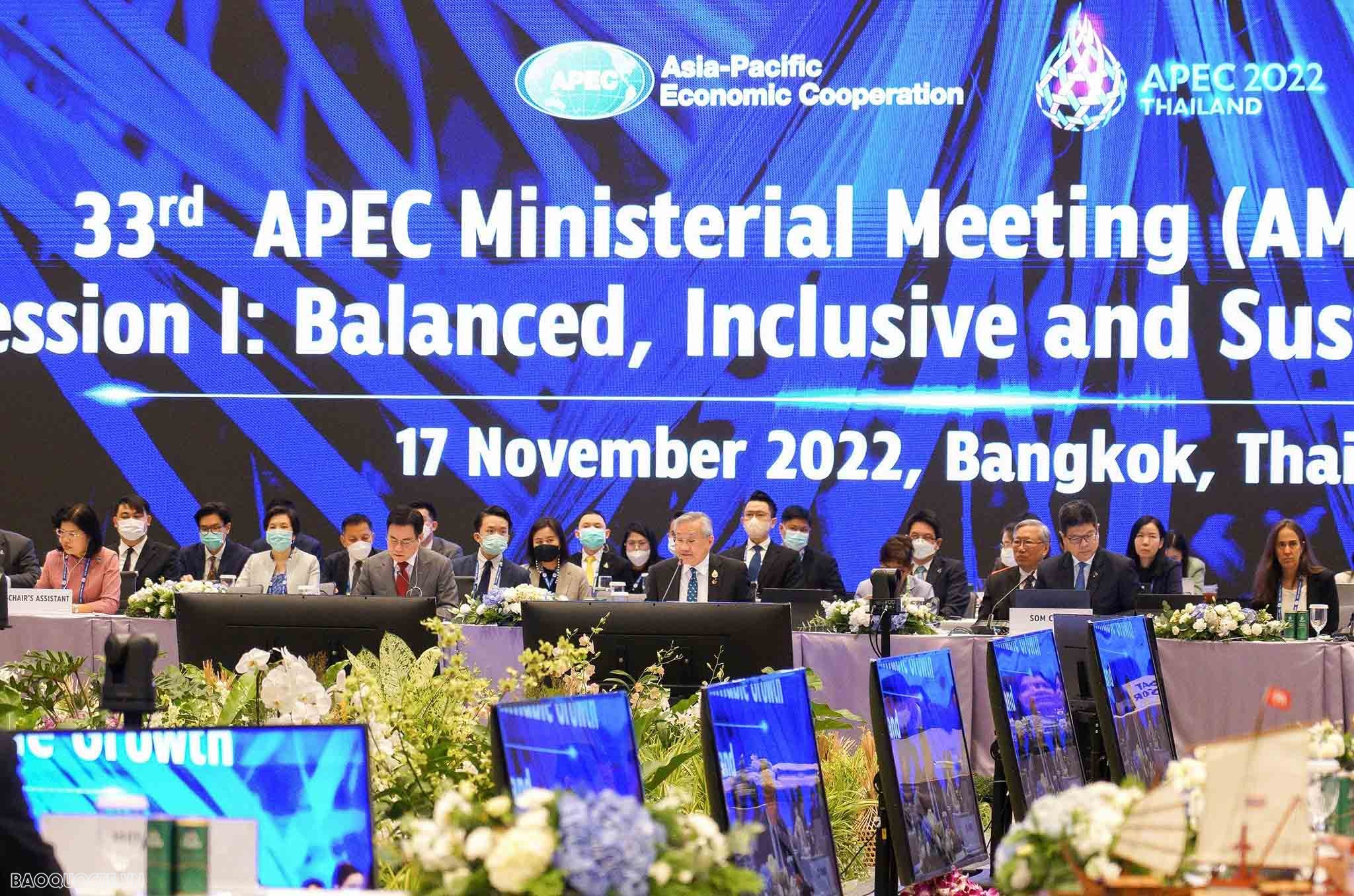 Bộ trưởng Ngoại giao Bùi Thanh Sơn nêu 4 nội dung hợp tác trong APEC