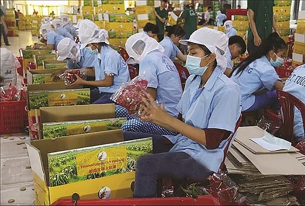 Xuất khẩu ngày 14-18/11: Viên nén 'thăng hoa', đồ gỗ sụt giảm; cơ hội cho nông sản Việt tại thị trường Argentina