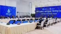 Việt Nam nêu các đề xuất để phát huy tối đa tiềm năng, thúc đẩy hợp tác giữa APEC với EU và quốc gia vùng Vịnh