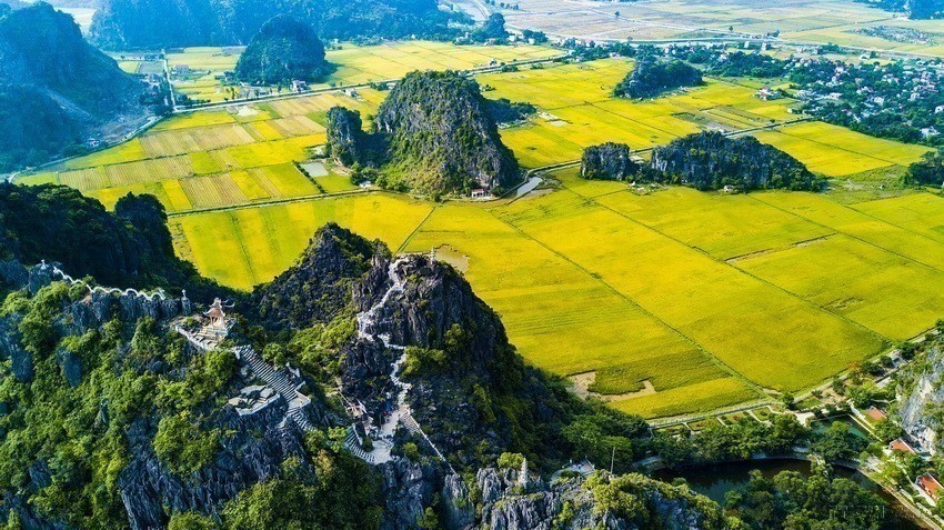 Next to the majestic limestone mountains in Tam Coc are golden rice fields. (Photo: VNA)