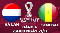 Link xem trực tiếp Senegal vs Hà Lan (23h00 ngày 21/11) World Cup 2022 bảng A