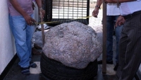 Viên đá saphire xanh nặng hơn 500kg chưa có người mua