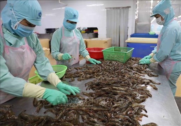 Bac Lieu turning shrimp sector into economic spearhead