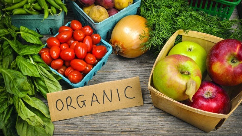 Vietnam, Denmark strengthen cooperation in production, certification, management of organic products