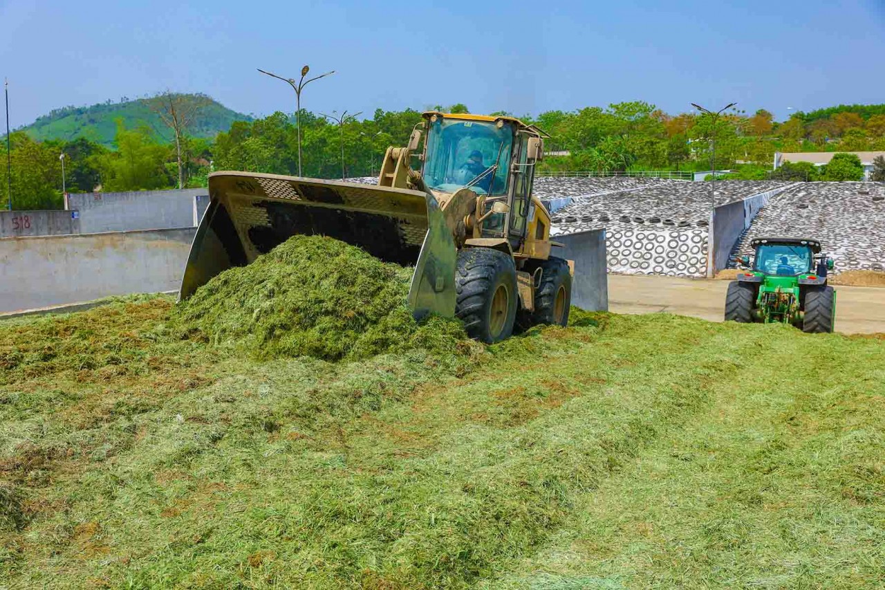 Forage pits as big as hills.