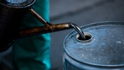 Giá xăng dầu hôm nay 26/11: Tiếp đà lao dốc; liệu giá xăng trong nước có tiếp tục giảm trong kỳ điều hành tới?