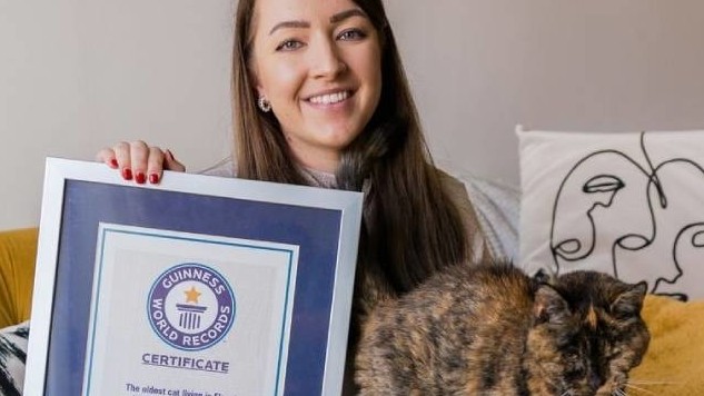 Anh: Con mèo cái nhận kỷ lục thế giới sống hơn 26 năm