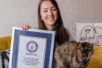 Anh: Con mèo cái nhận kỷ lục thế giới sống hơn 26 năm