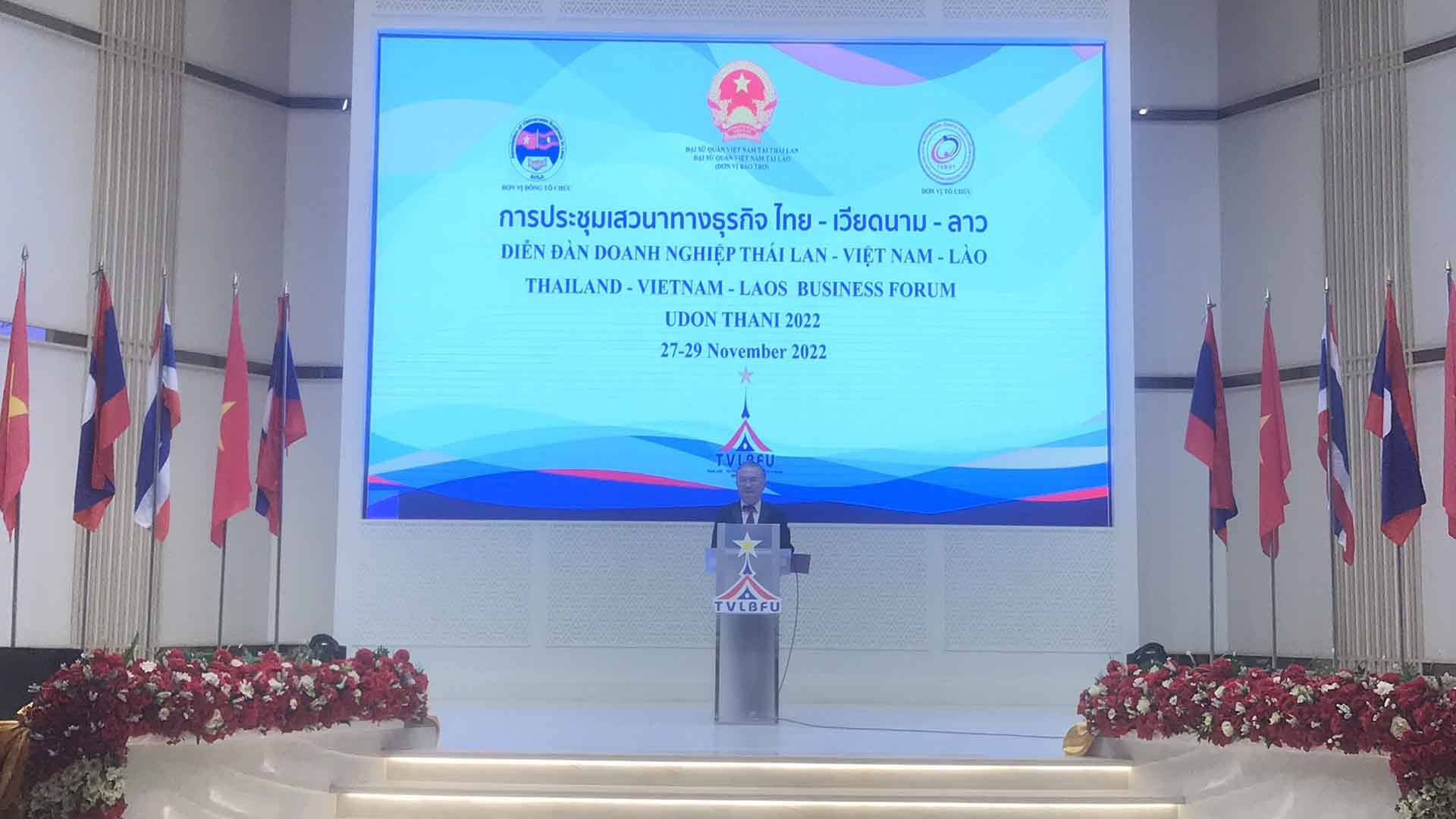 Đại sứ Ngô Hướng Nam, Phó Chủ nhiệm Ủy ban Nhà nước về Người Việt Nam ở nước ngoài phát biểu