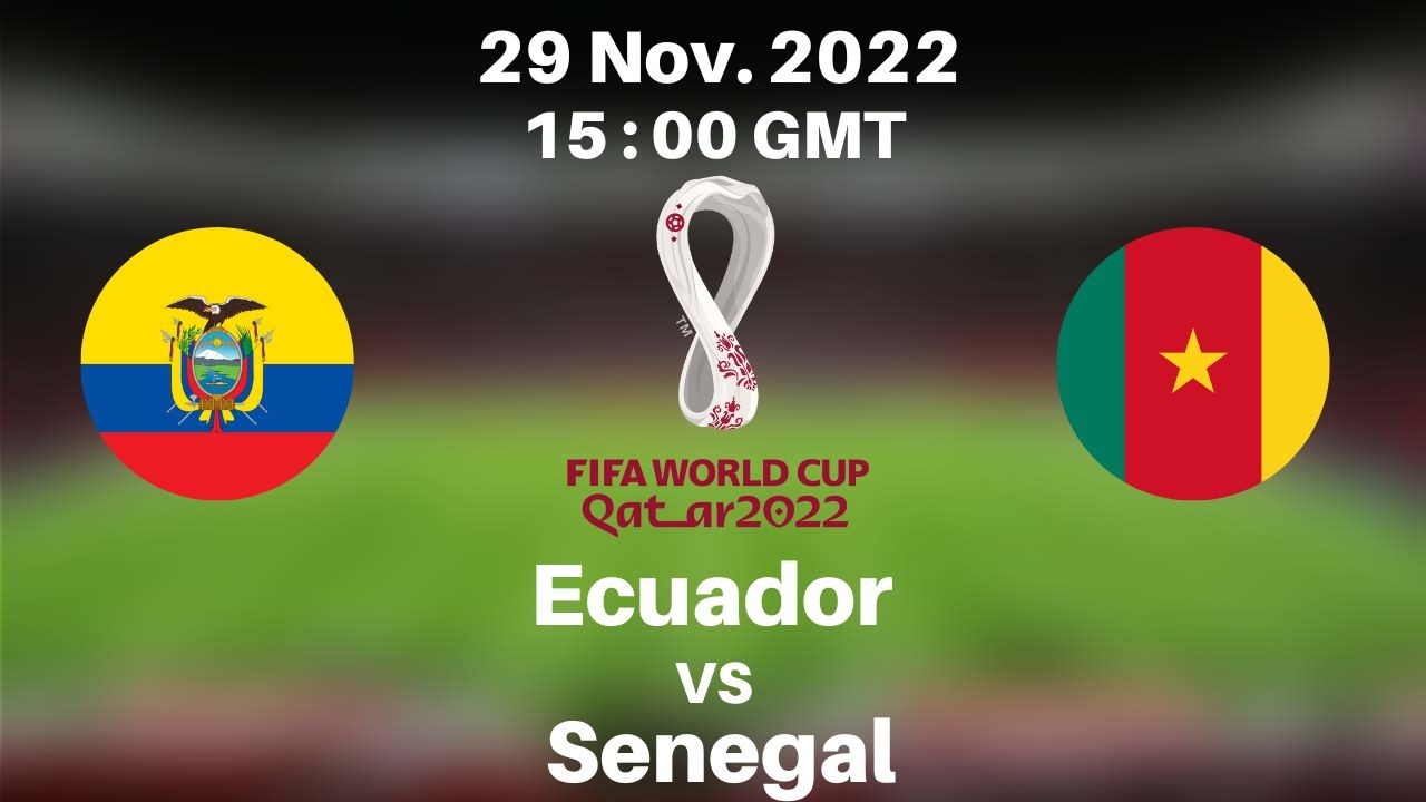 Soi kèo Ecuador vs Senegal bảng A World Cup 2022: Điểm mạnh thể lực của đương kim vô địch châu Phi