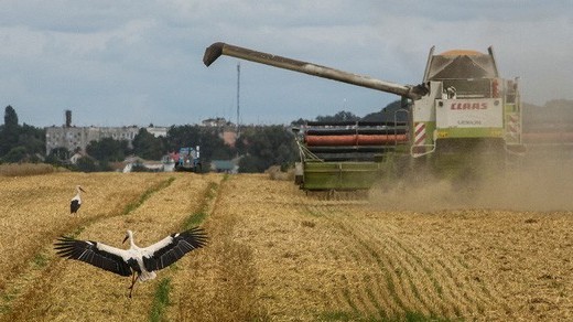 Italy chi 2 triệu Euro cho Sáng kiến ngũ cốc Biển Đen của Ukraine