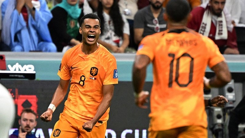 Highlights Hà Lan vs Qatar: Hà Lan thắng dễ và giành ngôi đầu bảng A