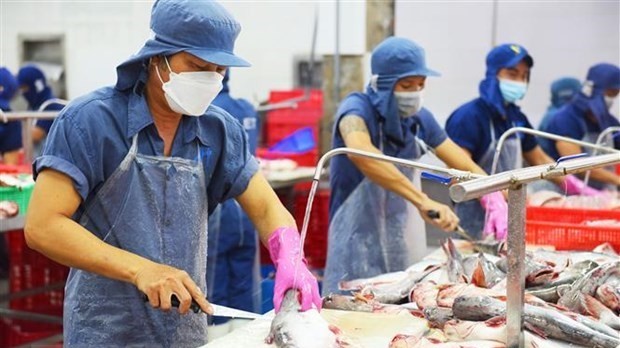 Tra fish exports post strongest growth among fishery products