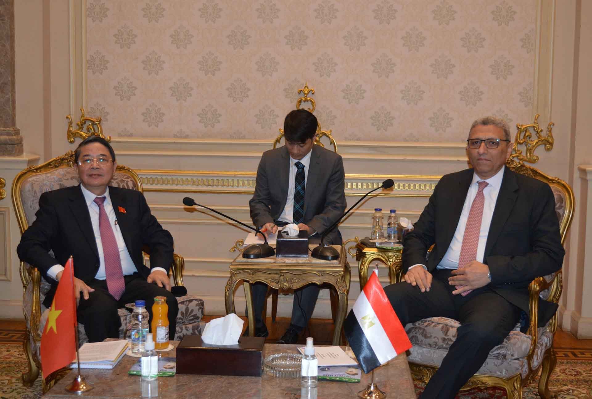 Phó Chủ tịch Quốc hội Nguyễn Đức Hải hội đàm với Phó Chủ tịch Hạ viện Ai Cập.