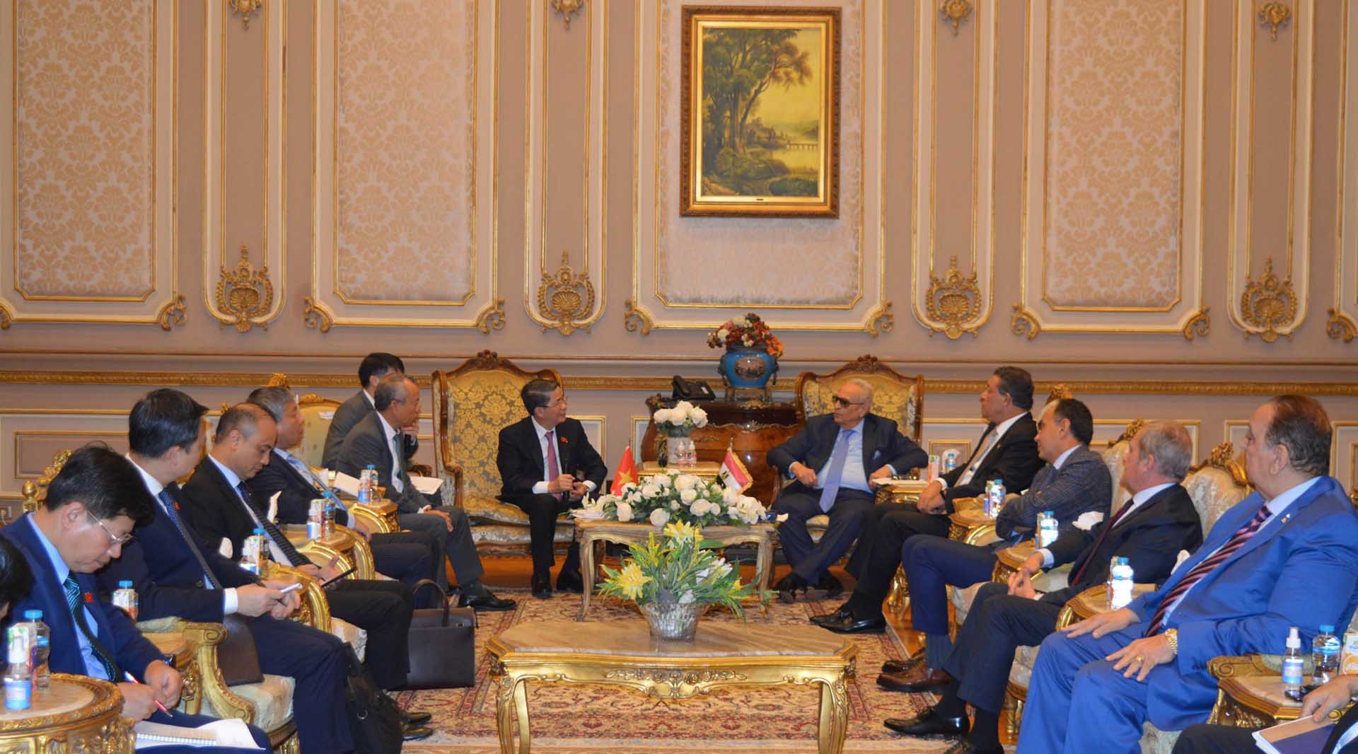 Phó Chủ tịch Quốc hội Nguyễn Đức Hải hội đàm với Phó Chủ tịch Thượng viện Ai Cập.