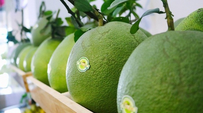Danh sách 7 loại trái cây tươi của Việt Nam được xuất khẩu sang Mỹ