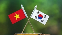 30 năm quan hệ Việt Nam-Hàn Quốc: Những bước tiến nổi trội và kỳ vọng tạo bước ngoặt mới