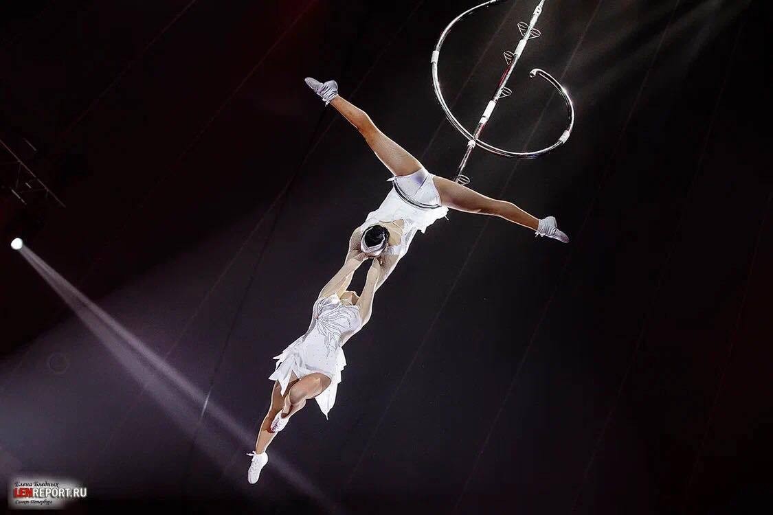 Vietnamese circus acts shine in international arena | Culture - Sports  | Vietnam+ (VietnamPlus)